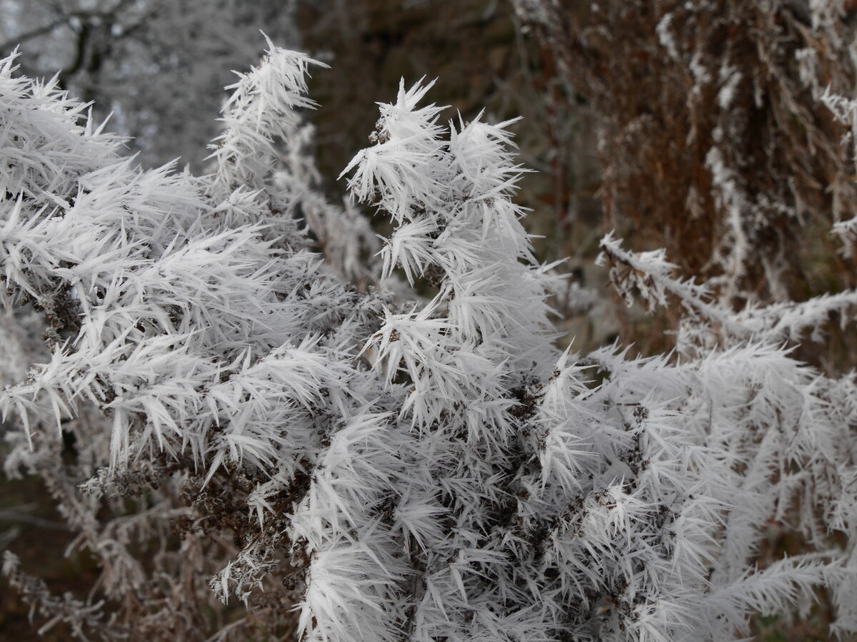 Adventsmarkt auf Burg Ludwigstein