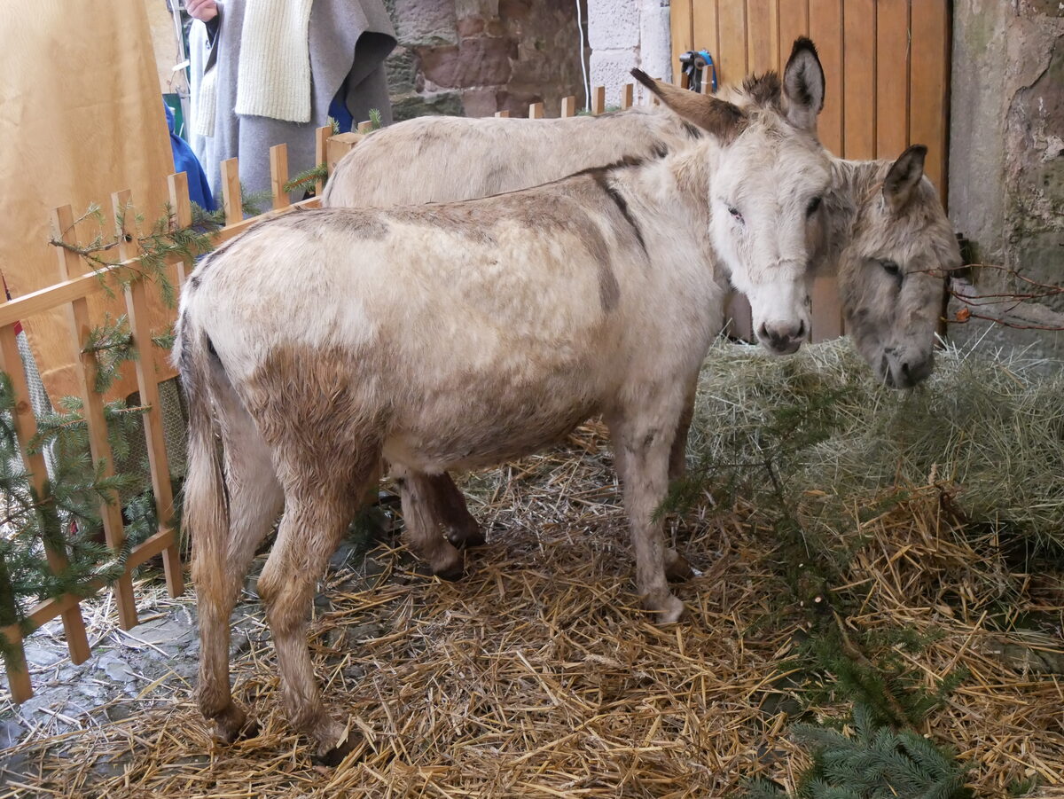Adventsmarkt auf Burg Ludwigstein